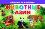 обложка Обучающие карточки. Животные Азии. 3+. от интернет-магазина Книгамир