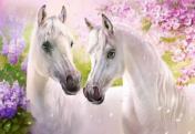 обложка Пазлы Castorland Белые лошади 1000 элементов от интернет-магазина Книгамир