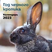 обложка Год черного кролика. Календарь настенный на 2023 год (300х300) от интернет-магазина Книгамир
