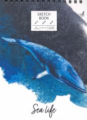 обложка Скетчбук 60л,А4,спир,Синий кит,ТС4604839 от интернет-магазина Книгамир