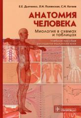 обложка Анатомия человека: миология в схемах и таблицах : учебное пособие (в качестве учебного пособия для студентов, обучающихся по специальностям ВПО группы «Здравоохранение») от интернет-магазина Книгамир