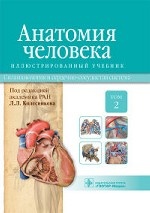 обложка Анатомия человека.Т.2-Спланхнология и сердечно-сосудистая система.Учебник в 3 томах от интернет-магазина Книгамир