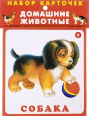 обложка Домашние животные (20 карточек с европодвесом) от интернет-магазина Книгамир