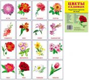 обложка Демонстрационные картинки супер Цветы садовые. 16 раздаточных карточек с текстом от интернет-магазина Книгамир