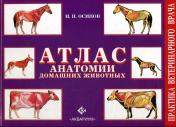 обложка Атлас анатомии домашних животных (цвет.) от интернет-магазина Книгамир