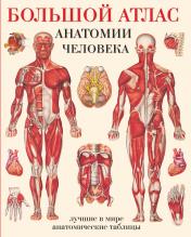 обложка Большой атлас анатомии человека от интернет-магазина Книгамир