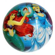обложка Мяч пвх принцессы, 23 см, полноцвет, в сетке ИГРАЕМ ВМЕСТЕ в кор.144шт от интернет-магазина Книгамир