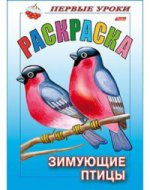 обложка Раскраска: Зимующие птицы от интернет-магазина Книгамир