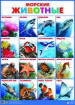 обложка Плакат "Морские животные" (555х774) от интернет-магазина Книгамир