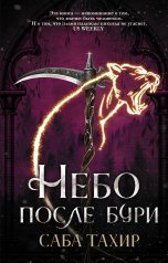 обложка Небо после бури от интернет-магазина Книгамир
