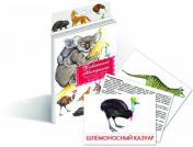 обложка Животные Австралии от интернет-магазина Книгамир