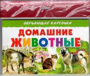 обложка Карточки (европодвес). Домашние животные от интернет-магазина Книгамир