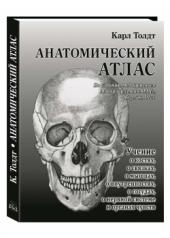 обложка Анатомический атлас от интернет-магазина Книгамир