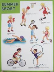 обложка Плакаты (англ). Summer Sport (Летние виды спорта) от интернет-магазина Книгамир