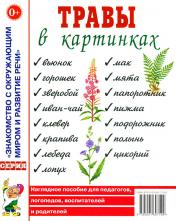 обложка Травы в картинках [Нагл. пособие] от интернет-магазина Книгамир