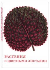 обложка Растения с цветными листьями от интернет-магазина Книгамир
