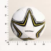 обложка Мяч футбольный арт.57805 "Профессионал" от интернет-магазина Книгамир