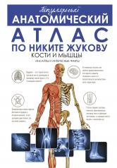 обложка Популярный анатомический атлас по Никите Жукову: кости и мышцы. Инсайты и интересные факты от интернет-магазина Книгамир
