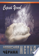 обложка Небесная черная метка от интернет-магазина Книгамир