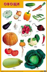 обложка Развивающие плакаты. Овощи от интернет-магазина Книгамир