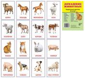обложка Раздаточные  "Домашние животные".16 раздаточных карточек с текстом от интернет-магазина Книгамир