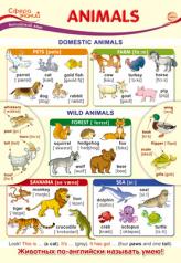 обложка ПО-13437 Плакат А3. Английский язык в начальной школе. Animals (Животные) от интернет-магазина Книгамир
