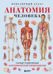 обложка Анатомия человека. Популярный атлас. Самые подробные анатомические изображения от интернет-магазина Книгамир