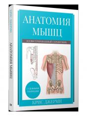 обложка Анатомия мышц: иллюстрированный справочник от интернет-магазина Книгамир