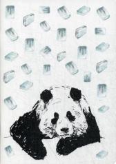 обложка Панда и лёд (блокнот) от интернет-магазина Книгамир