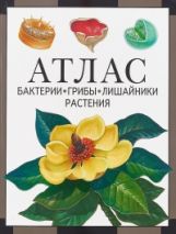 обложка Бактерии, грибы, лишайники, растения : атлас (2-е, стереотипное) от интернет-магазина Книгамир