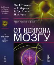 обложка От нейрона к мозгу. Пер. с англ. от интернет-магазина Книгамир