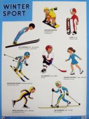 обложка Плакаты (англ). Winter Sport (Зимние виды спорта) от интернет-магазина Книгамир