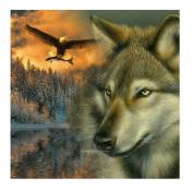 обложка Molly. Картины мозаикой KM0897 "Волк и орёл" (30х30) 24 цвета 1/20 от интернет-магазина Книгамир