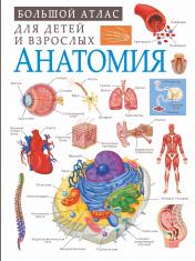 обложка Анатомия от интернет-магазина Книгамир