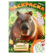 обложка Капибара в зоопарке. Раскраска. Соедини по цифрам. 214х290 мм. Скрепка. 16 стр. Умка в кор.50шт от интернет-магазина Книгамир