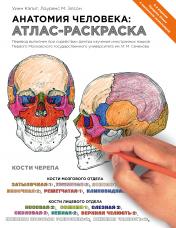 обложка Анатомия человека: атлас-раскраска от интернет-магазина Книгамир