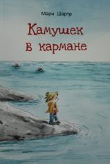 обложка П.Камушек в кармане от интернет-магазина Книгамир