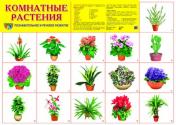 обложка Демонстрационный плакат. Комнатные растения. (формат А-2). от интернет-магазина Книгамир